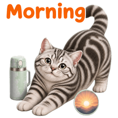 Lumi: Silver Tabby Reactions (EN)