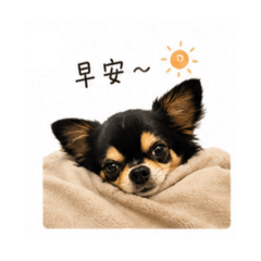 許願1