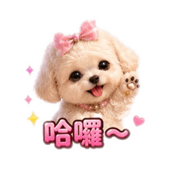 問候狗