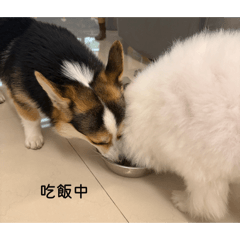 米腸&米爹