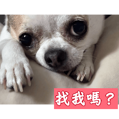 果果呀~