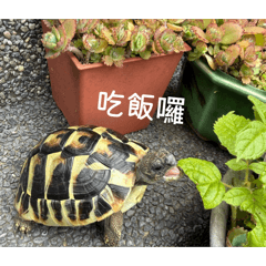 日常生活喔喔喔喔喔