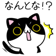 Cats & chicks of Sanuki dialect