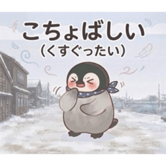 arara_20260804155325