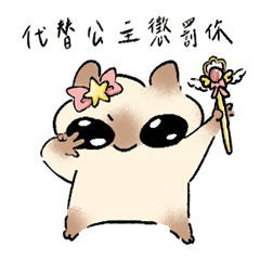 coffee cat queen