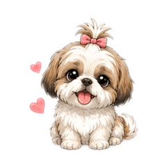 Shih Tzu puppy dog