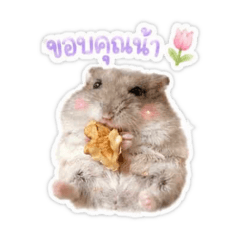 CasperViv