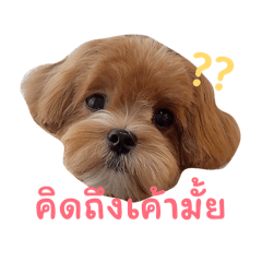 Kumiohaeun.diary
