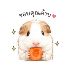JongJaengg