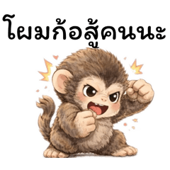 Little macaque 1