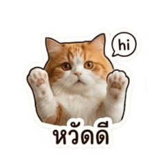 soda_20260728003608