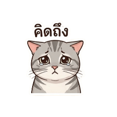 Sukanya Yimram_20260728010703