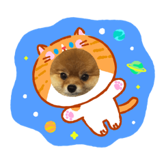 Pungpung_20260728012229