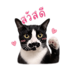 N'MaRuay =^^=