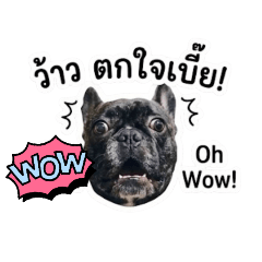 TTR the Frenchie V2