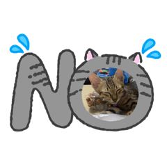 Noliji_Lucky1