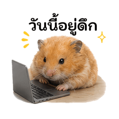 Bonchon Office Hamster Vol.2