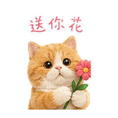 天天開心系列-貓咪烏托邦：烏龜生活對話篇