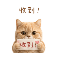天天開心系列-貓咪烏托邦：烏梅生活對話篇