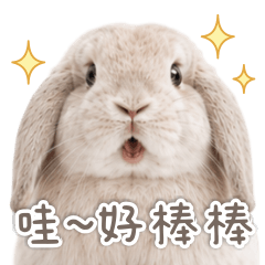 Nai-Fu Bunny is Little Inner Drama