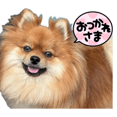 monaka_20260804171941