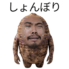 新種の植物2