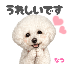 DOG STAMP ORDER_20260805084842
