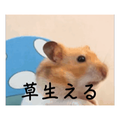 Omochi_20260804153249