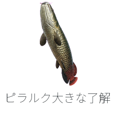 Arapaima Clear Acknowledgements