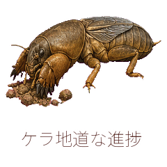 Mole Cricket Steady Progress