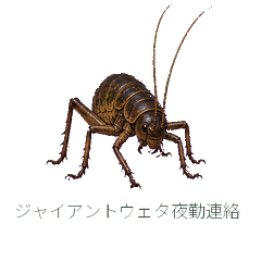 Giant Weta Night Work Notes