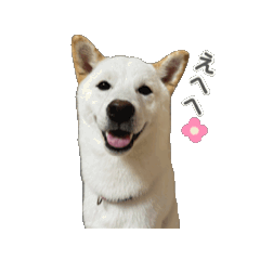 seira_20260804153245