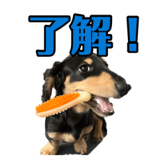 sakamotobunta_20260804183205
