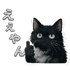 black.cat_20260804183847