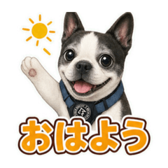 hana_20260804184050
