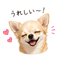 HUKU_20260804180353