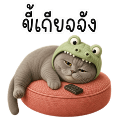 Lazy Gray Croc-Hood Cat TH