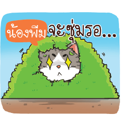 NONGPUEM cheeky cat