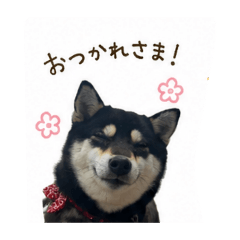 KAITO_20260804181648