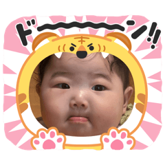 y.iwi_20260804200317