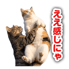Neko Seikatsu Stickers Vol.2 [Official]