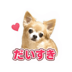 mayu_20260804203415