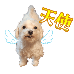 yue_20260804204721