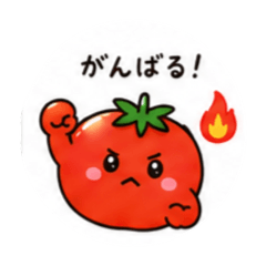 chisa16_20260804213215