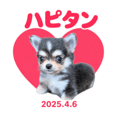 Mayu_20260804204239