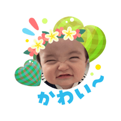 shibaki_20260804