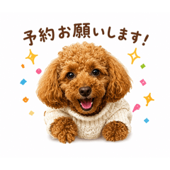 Betty PuPu_20260804211324