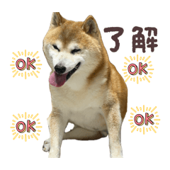 ryo_20260804225639