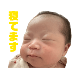 mametsubu_20260804225956