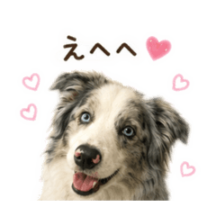 JIWOO_20260804225945